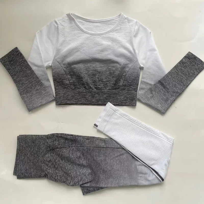 Seamless Yoga Sets Sports Fitnes High Waist Hip Raise Pants Long-Sleeved Suits Workout Clothes Gym Shorts Set for Women